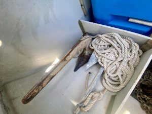 deck, Lagoon 380, catamaran for sale