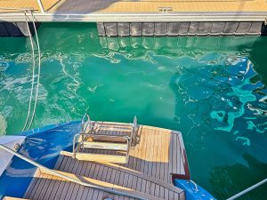 exterior, Lagoon 620, catamaran for sale