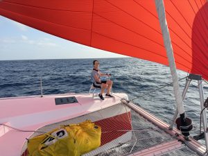 deck, Nautitech 44 Open, catamaran for sale