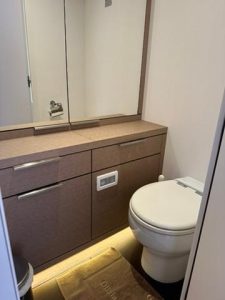bath, Lagoon Seventy 7, catamaran for sale