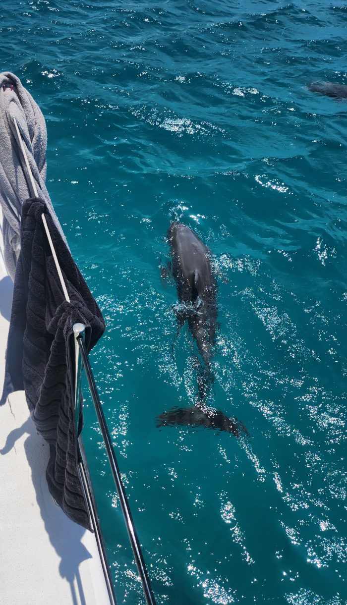 underway, Dean 365, catamaran for sale