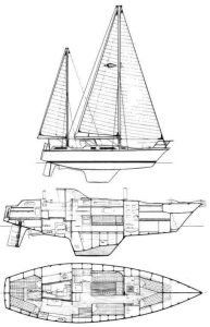 Amel 39 Sharki layout drawing 1