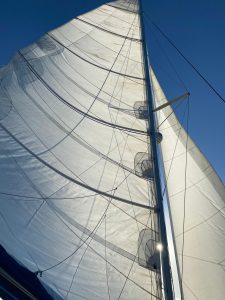 deck, Lagoon 420, catamaran for sale