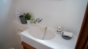 bath, Privilege 435, catamaran for sale