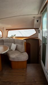 salon, Privilege 435, catamaran for sale