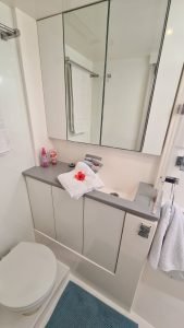 bath, Leopard 45, catamaran for sale
