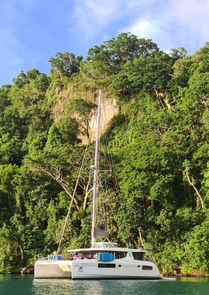 Leopard 45, catamaran for sale
