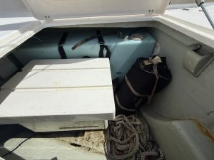deck, Leopard 44, catamaran for sale