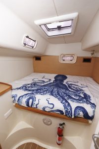 bed, Leopard 43, catamaran for sale