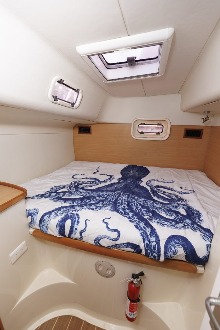 bed, Leopard 43, catamaran for sale