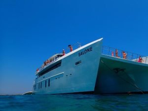 exterior, Custom, catamaran for sale