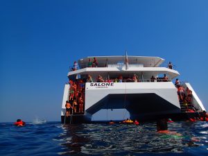 underway, Custom, catamaran for sale