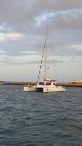 exterior, Custom, catamaran for sale