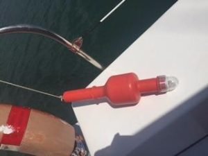 exterior, Custom, catamaran for sale
