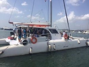 exterior, Custom, catamaran for sale