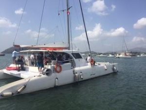 exterior, Custom, catamaran for sale