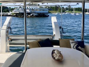 exterior, Leopard 46, catamaran for sale