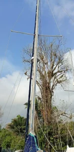 deck, Morgan 41 Out Island, sailboat for sale