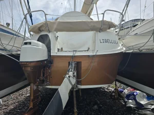 Dragonfly 32, catamaran for sale