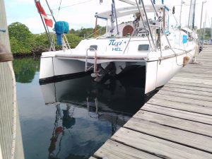 exterior, Prout 37 Snowgoose, catamaran for sale