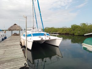 exterior, Prout 37 Snowgoose, catamaran for sale