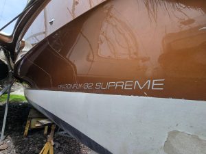 Dragonfly 32, catamaran for sale