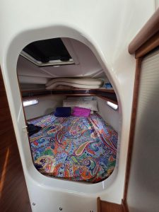 Dragonfly 32, catamaran for sale