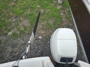 Dragonfly 32, catamaran for sale