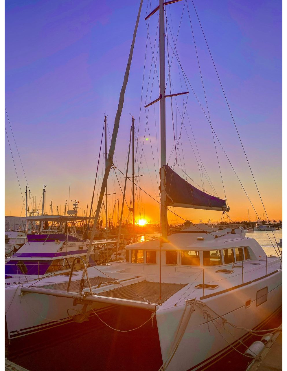 exterior, Lagoon 440, catamaran for sale
