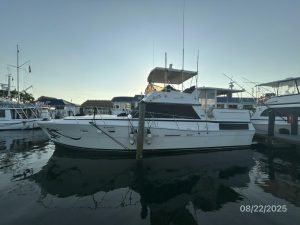 exterior, Viking 44, trawler for sale
