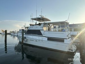 exterior, Viking 44, trawler for sale