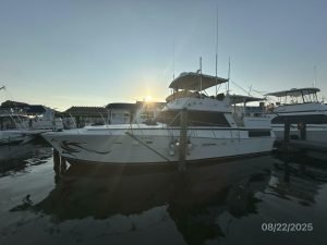exterior, Viking 44, trawler for sale