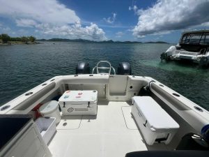 cockpit, World Cat, trawler for sale