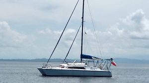 exterior, Prout 37 Snowgoose, catamaran for sale