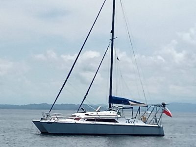 Prout Snowgoose 37 Classic