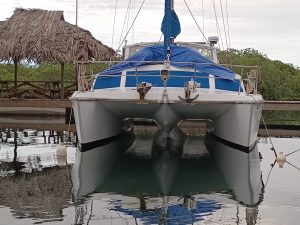 exterior, Prout 37 Snowgoose, catamaran for sale