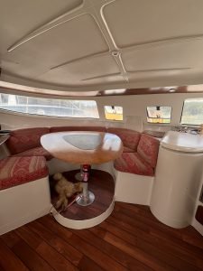 salon, FP 38 Athena, catamaran for sale