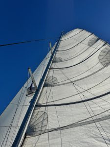 deck, Lagoon 400, catamaran for sale