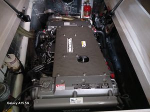mechanical, Leopard 43 PowerCat, trawler for sale