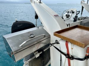 deck, Leopard 46, catamaran for sale
