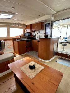 salon, Leopard 46, catamaran for sale