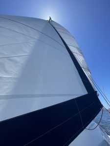 deck, Lagoon 380, catamaran for sale