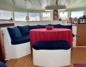 salon, Lagoon 380, catamaran for sale