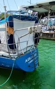 exterior, Nautilus 40 Pilothouse, sailboat for sale