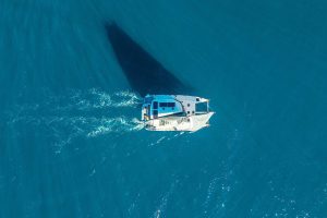 underway, Balance 482, catamaran for sale