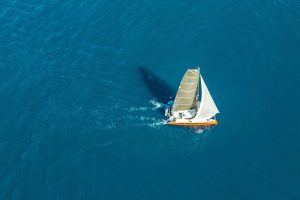 underway, Balance 482, catamaran for sale