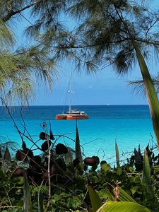 exterior, Balance 482, catamaran for sale