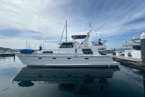 exterior, Tennant, power catamaran for sale