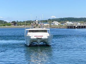 exterior, Tennant, power catamaran for sale