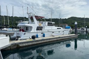 exterior, Tennant, power catamaran for sale